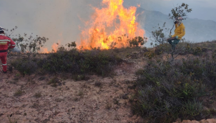 Incendios forestales