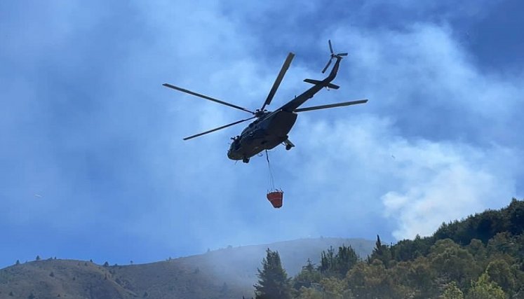 Un incendio forestal arrasó con abundante capa vegetal en zona de frontera entre Ocaña y La Playa de Belén./ Cortesía