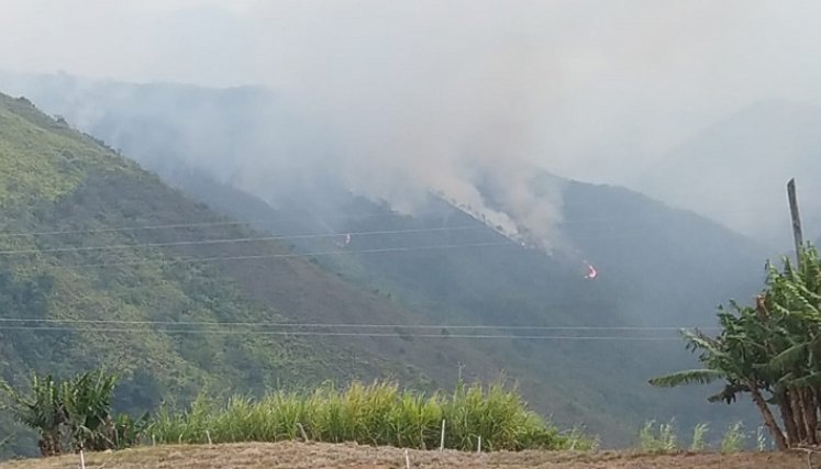 Un incendio forestal arrasó con abundante capa vegetal en zona de frontera entre Ocaña y La Playa de Belén./ Cortesía