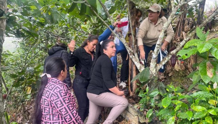 Mujeres rurales lideran la cadena del Cacao en el Catatumbo. Desde sus prácticas y cosmovisión, mujeres de comunidad barí impulsan su empoderamiento productivo y económico./ Fotos: Cortesía / La Opinión 
