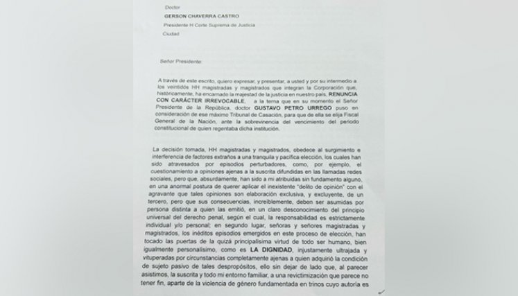 Renuncia Amelia 