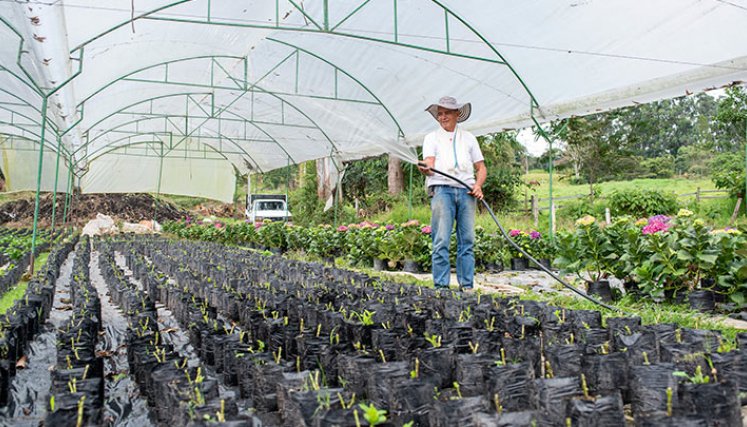En los últimos años, Bancamía ha desembolsado más de $21.100 millones en 6.600 microcréditos verdes. / Foto: Cortesía 