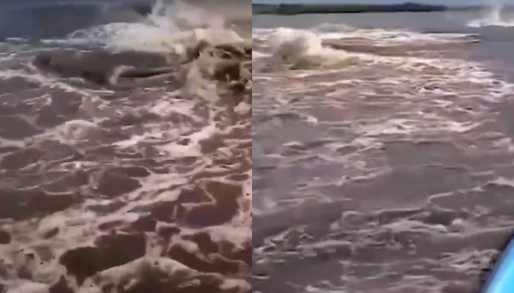 Una misteriosa criatura atacó a hombre en kayak en el río Amazonas