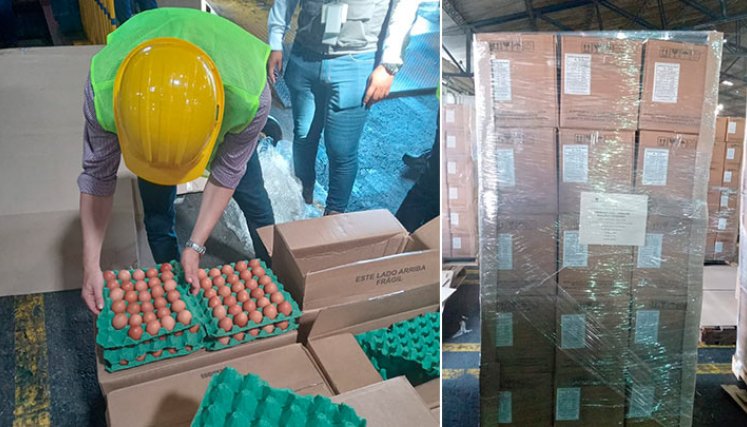 Colombia exportó los primeros 518.400 huevos a Cuba./ Foto Cortesía