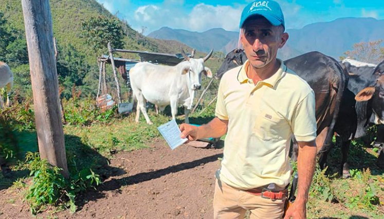 Los productores de Norte de Santander deben proteger 187.617 en 16.633 fincas. / Foto Cortesía