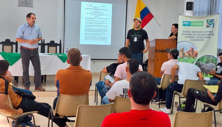 La región tiene 128 vacunadores y nueve programadores./ Foto Cortesía