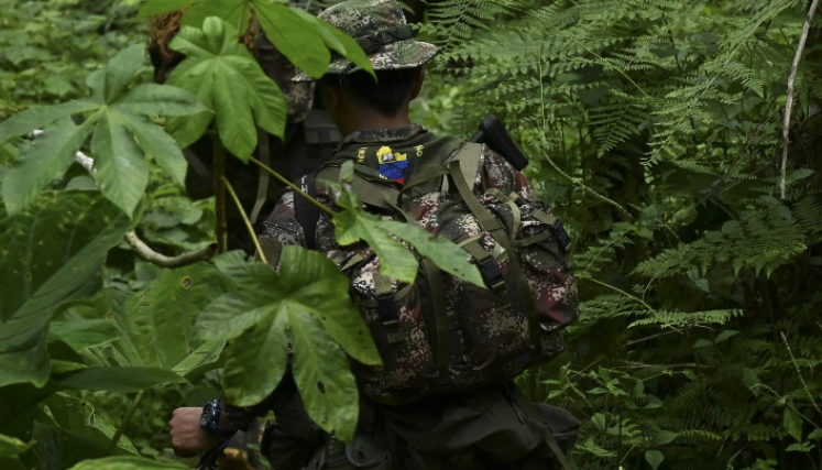 Las disidencias de las Farc tienen gran presencia en la región Catatumbo. 