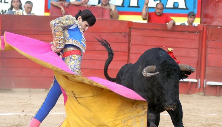 Las corridas de toros según la ley que aprobó el Gobierno nacional dejarán de existir.