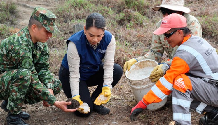 Ejército Nacional y la Unión Vial Río Pamplonita adelantan la siembra