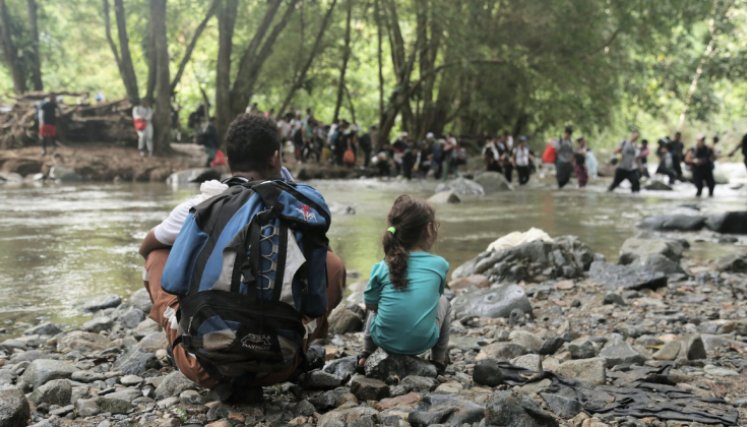 Según las cifras del gobierno panameño, durante 2023 cruzaron más de 520.000 migrantes el Tapón del Darién. / Foto: Colprensa