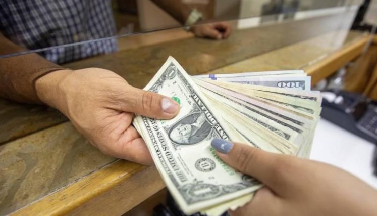dolares