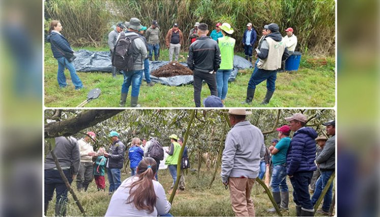 Participaron productores de Pamplona y Chitagá./ Foto Cortesía