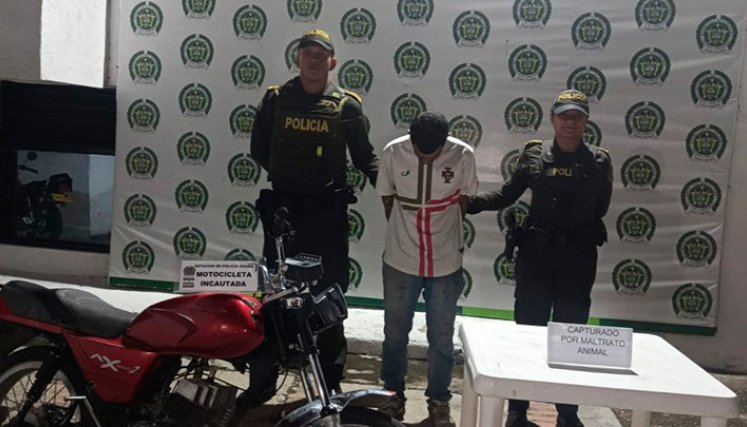 En Ocaña, hombre arrolló a un perro y luego lo mató a patadas 