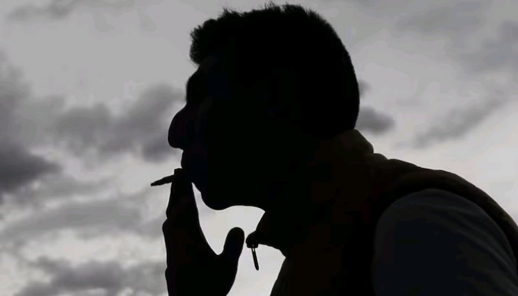 tabaco