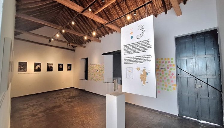 Tanto la exposición como el taller están a disposición de toda la comunidad de forma gratuita./ Fotos: Cortesía / La Opinión