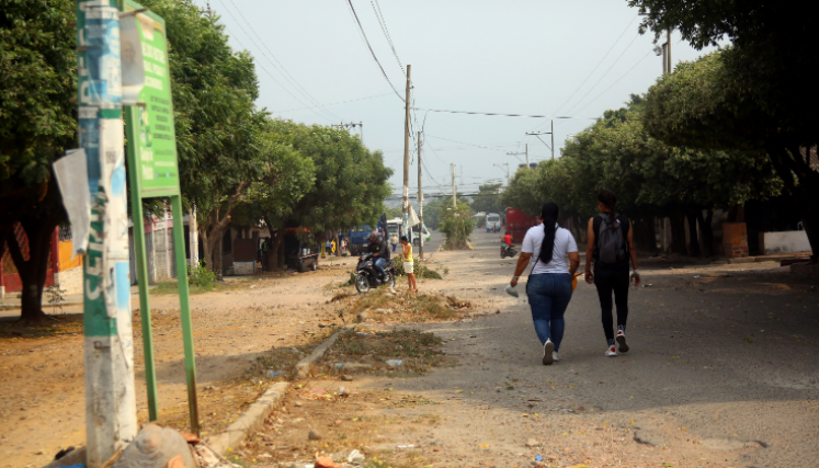 El cono lumínico esta obstruido por la falta de poda de árboles./ Foto: Carlos Ramírez/ La Opinión