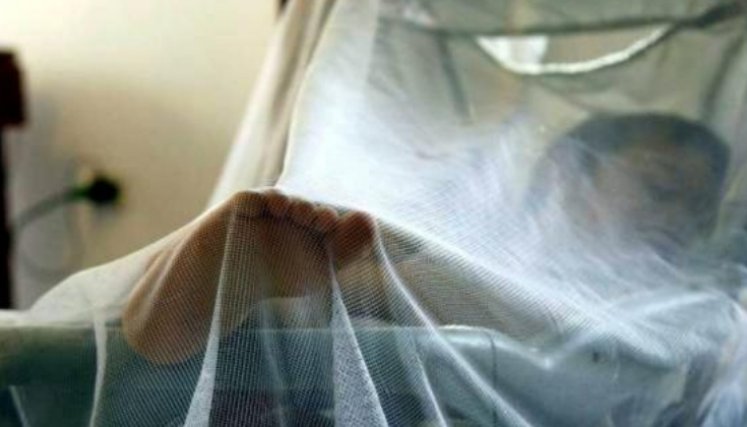 El chikungunya es una enfermedad transmitida por mosquitos que puede causar dolor debilitante en las articulaciones. / Foto: Colprensa