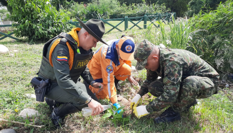 Se realizo la siembra de más de 100 árboles en Cúcuta