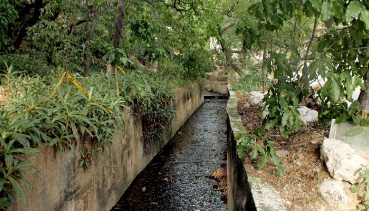 Los residentes de las casas aledañas al canal son las más afectadas por esta situación. / Foto: Carlos Ramírez. 