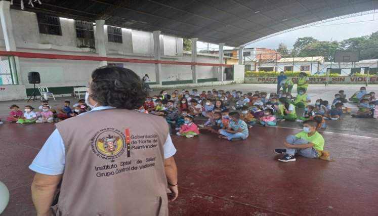 Ante la proliferación del mosquito se adelantan campañas para erradicar los criaderos en Ocaña./ Cortesía  