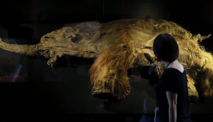 IA ‘resucita’ moléculas de criaturas del pasado
