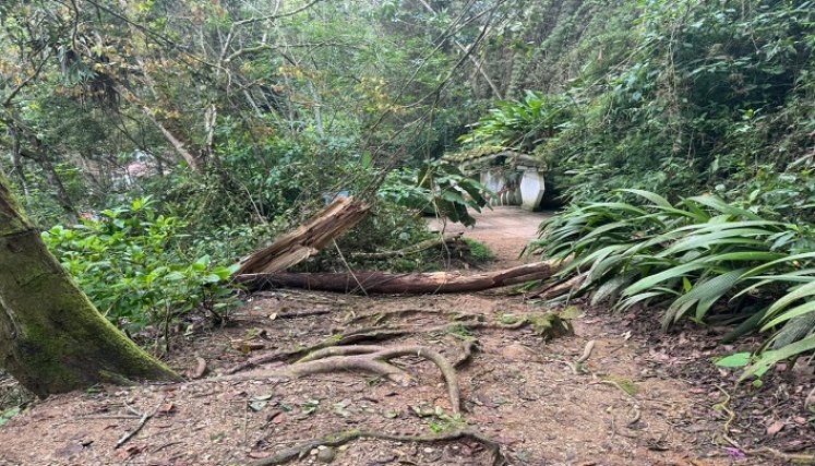 Ante la proximidad de las fiestas patronales voceros comunales solicitan el arreglo del sendero peatonal hacia el santuario/ Foto: Cortesía