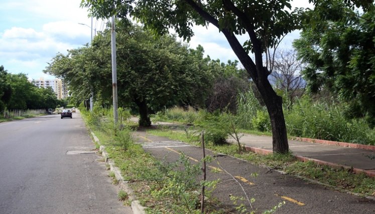 Homicidio por la Avenida del Río.