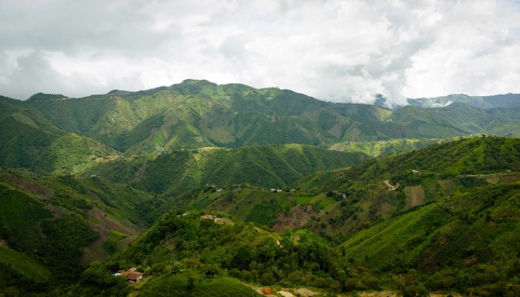 La ruta campesina es una estrategia encaminada mostrar las riquezas de los centros poblados de la provincia de Ocaña./ Foto cortesía: La Opinión.
