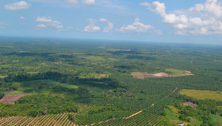 Catatumbo. Foto cortesía