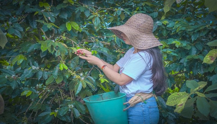 La ruta campesina es una estrategia encaminada mostrar las riquezas de los centros poblados de la provincia de Ocaña./ Foto cortesía: La Opinión.