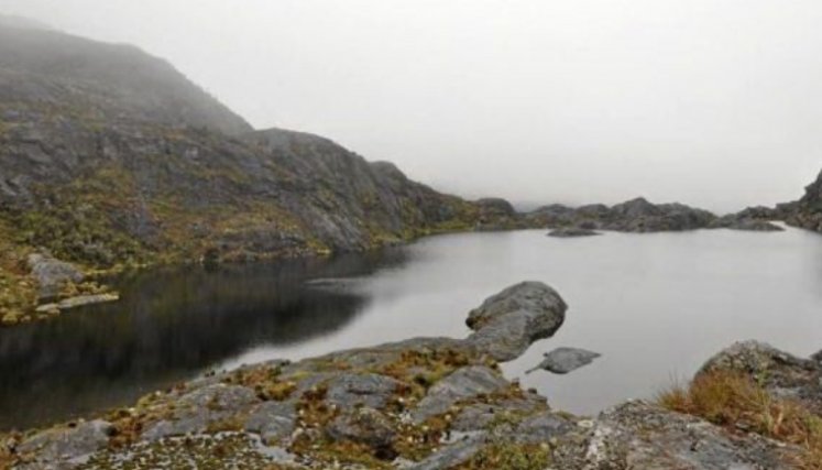El páramo de Santurbán está ubicado entre Norte de Santander y Santander. / Foto Colprensa
