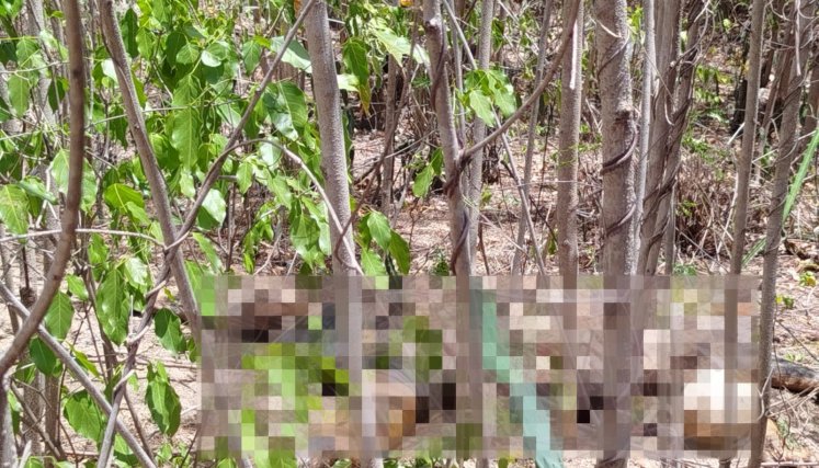 Los restos óseos que encontraron en el Anillo Vial Occidental serían de una mujer