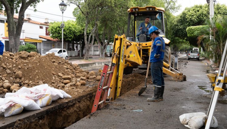 Arreglos en Pinos, Cúcuta