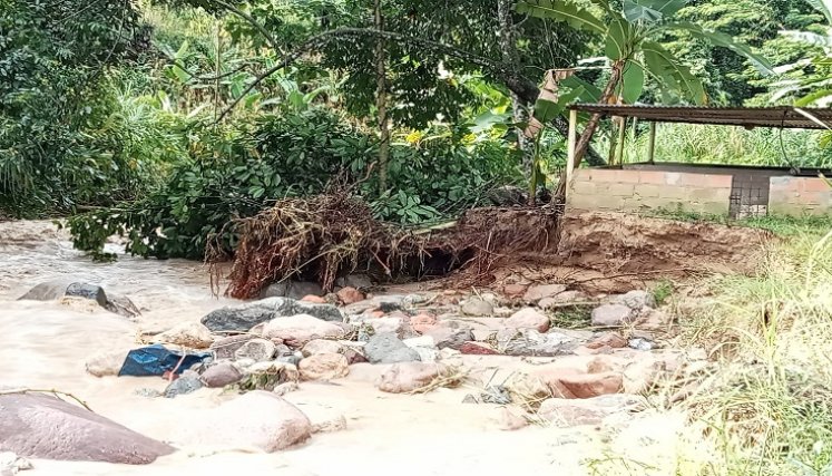 Las primeras precipitaciones comenzaron a generar estragos en la zona del Catatumbo./ Foto: cortesía