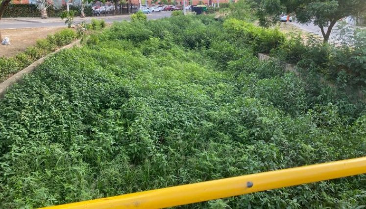 Son dos los canales de aguas lluvias que atraviesan a La Esmeralda y que necesitan de una intervención. 