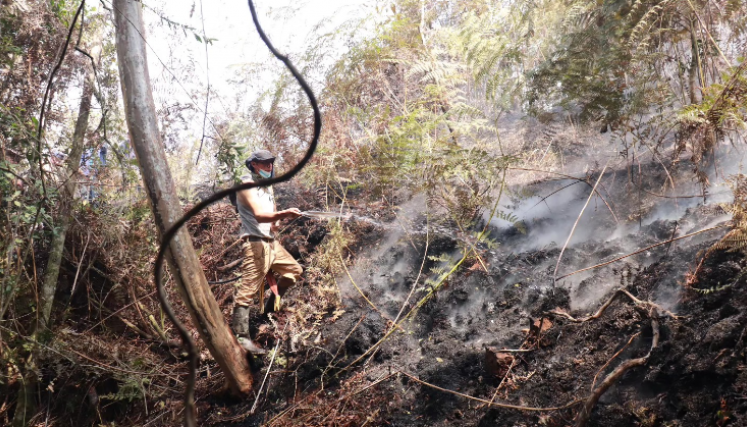 Importantes pérdidas de ecosistema se registran en Norte de Santander por cuenta de  más de 100 incendios. 