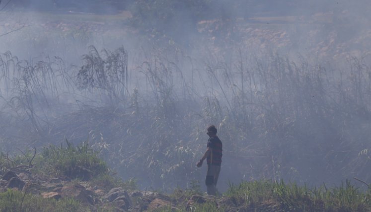 Incendio forestal