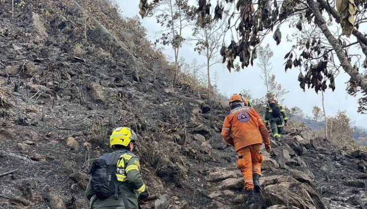 Decenas de hombres de Defensa Civil y personal especializado han participado en la erradicación de los incendios. 