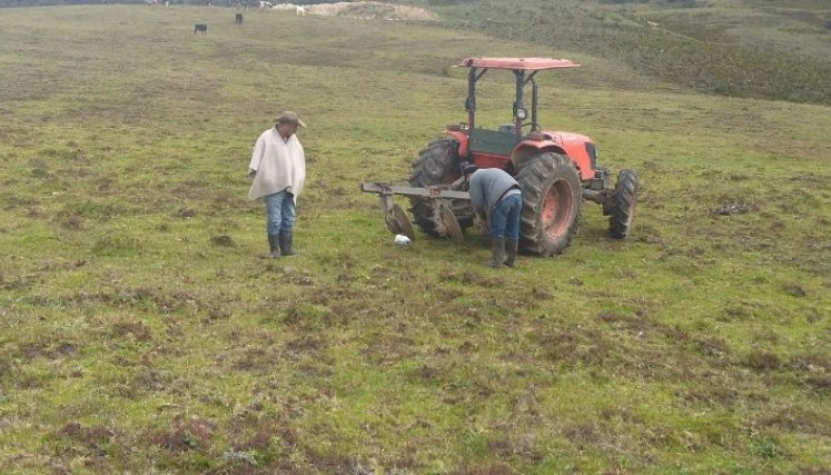 En los páramos Santurbán y Almorzadero se producen actividades agrícolas/Foto Archivo