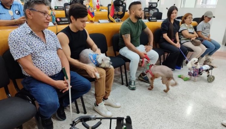 Mascotas discapacitadas tendrán trato especial./Foto cortesía