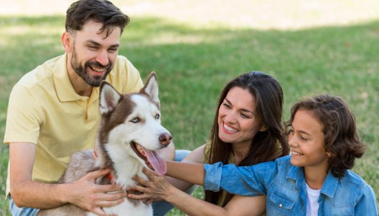 Los animales de compañía tienen un vínculo especial con los seres humanos,  debido a esa condición analizan si tienen derecho a formar parte de la familia. 