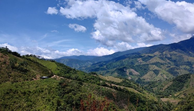 Difícil se torna la situación vivida en la zona del Catatumbo ante la arremetida de la guerrilla./ Foto cortesía: La Opinión.