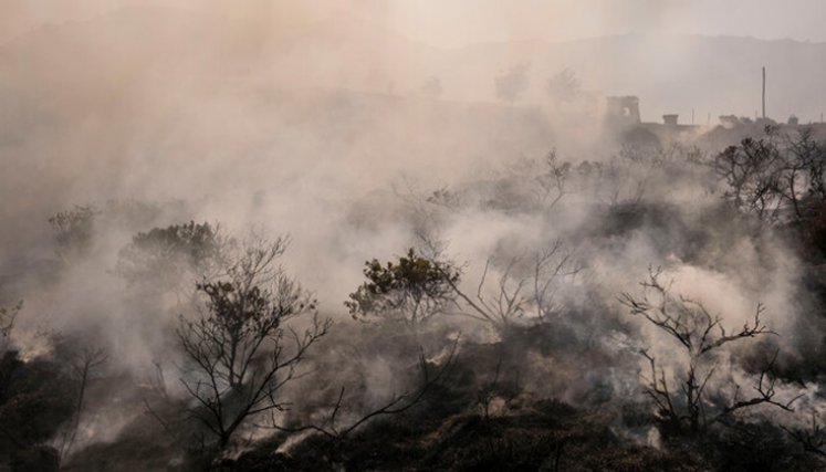 Incendios en el Tolima