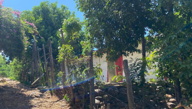 Luis Alfonso fue baleado en el patio de su casa en la avenida 14 con calle 7 del barrio Niña Ceci, parte baja. 