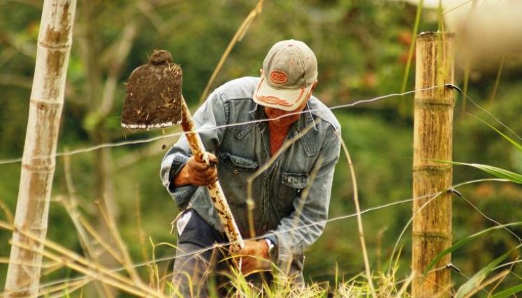 Las cifras demuestran que la adjudicación y formalización de tierras está lejos de cumplirse en los 4 años que restan para su implementación. /Foto archivo