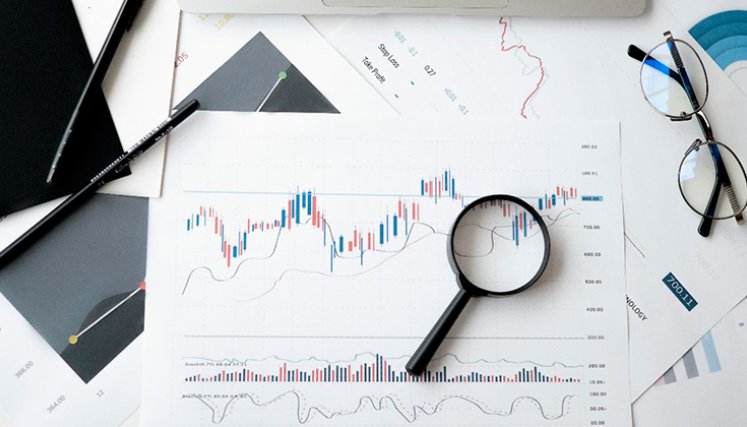 Datos de las empresas
