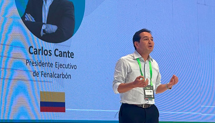 Carlos Cante, presidente ejecutivo de Fenalcarbón. / Foto Cortesía