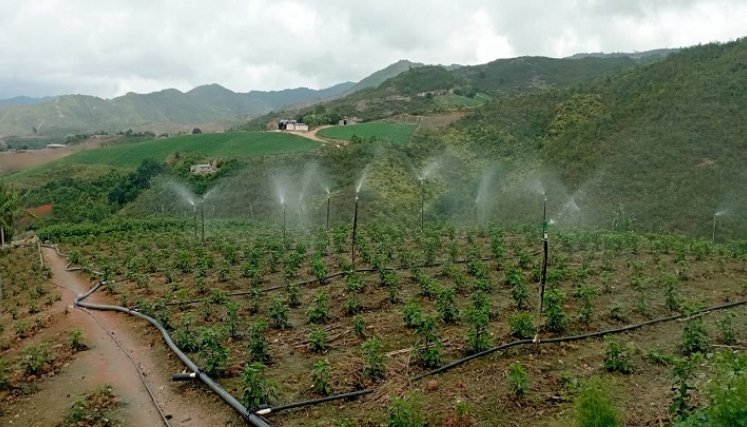 En el Concejo de Ocaña se analiza el posible desmonte del alumbrado público en las veredas donde no se presta ese servicio./ Foto: Archivo / La Opinión