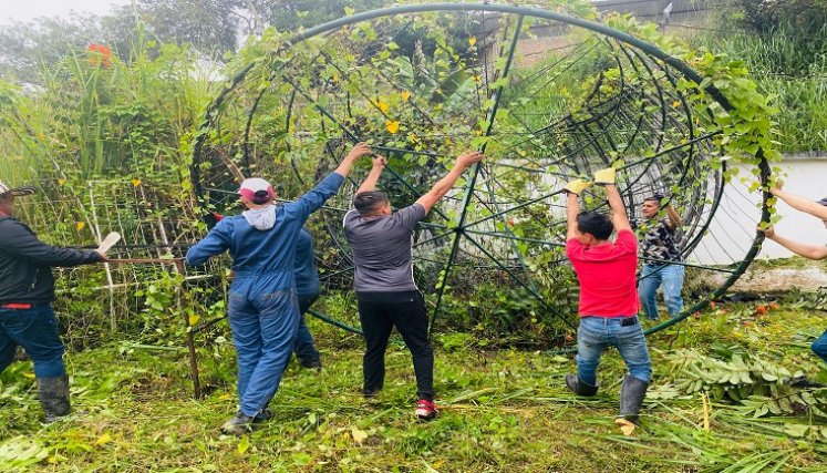 Funcionarios rescatan de la maleza material para iluminar a Ocaña durante la Navidad.