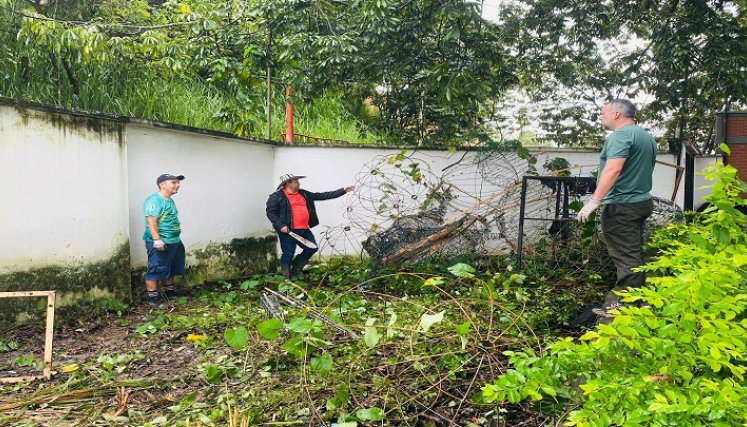 Funcionarios rescatan de la maleza material para iluminar a Ocaña durante la Navidad.   